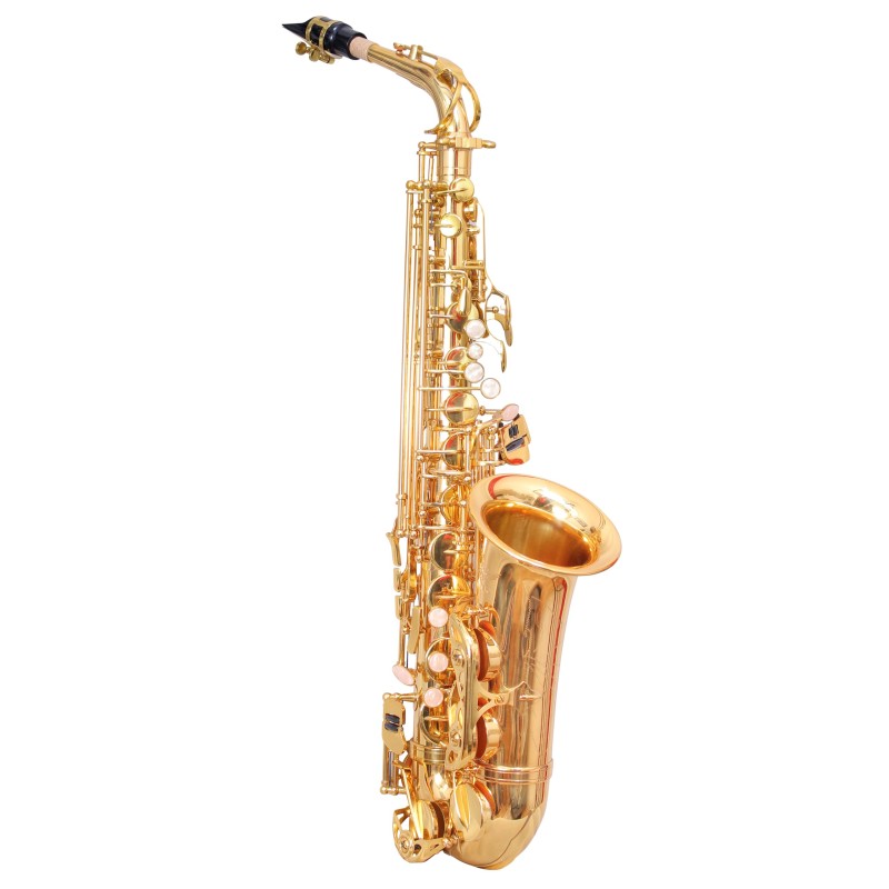 WAXWING AS100 dark gold lacquer Eb alto saxophone professional with hard case WAXWING AS100 dark gold lacquer Eb alto saxophone professional with hard case