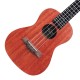 Professional Concert Ukulele, Mahogany Wood Body, 4 String, Black Fretboard Professional Concert Ukulele, Mahogany Wood Body, 4 String, Black Fretboard