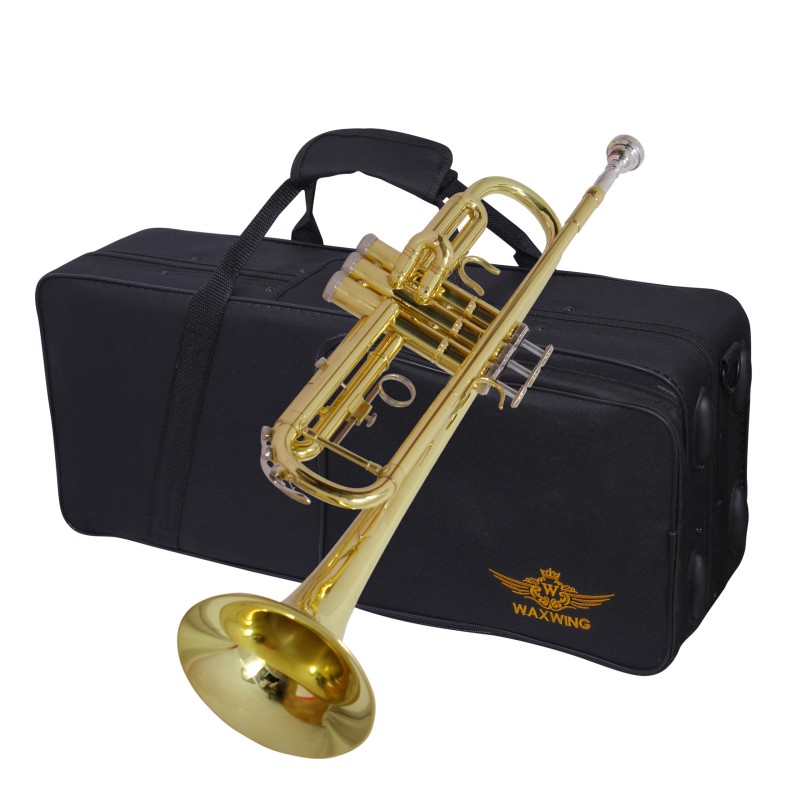 Professional Bb Trumpet, Brass Body, Chrome-Plated Mouthpiece, Gold Lacquer Finish Professional Bb Trumpet, Brass Body, Chrome-Plated Mouthpiece, Gold Lacquer Finish