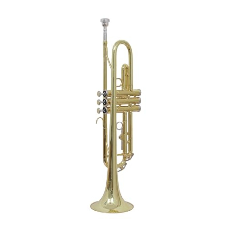 Professional Bb Trumpet, Brass Body, Chrome-Plated Mouthpiece, Gold Lacquer Finish Professional Bb Trumpet, Brass Body, Chrome-Plated Mouthpiece, Gold Lacquer Finish