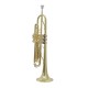 Professional Bb Trumpet, Brass Body, Chrome-Plated Mouthpiece, Gold Lacquer Finish Professional Bb Trumpet, Brass Body, Chrome-Plated Mouthpiece, Gold Lacquer Finish