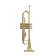 Professional Bb Trumpet, Brass Body, Chrome-Plated Mouthpiece, Gold Lacquer Finish Professional Bb Trumpet, Brass Body, Chrome-Plated Mouthpiece, Gold Lacquer Finish