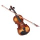 Waxwing professional Violin 4/4 with Bow and Carrying Case, Natural Wood glossy Finish Waxwing professional Violin 4/4 with Bow and Carrying Case, Natural Wood glossy Finish