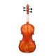 Waxwing 4/4 Full Size Violin with Bow and Carrying Case, Natural Wood glossy Finish Waxwing 4/4 Full Size Violin with Bow and Carrying Case, Natural Wood glossy Finish
